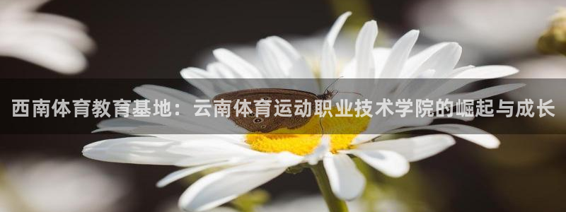 oety欧亿体育官网下载平台注册要钱吗是真的吗：西南