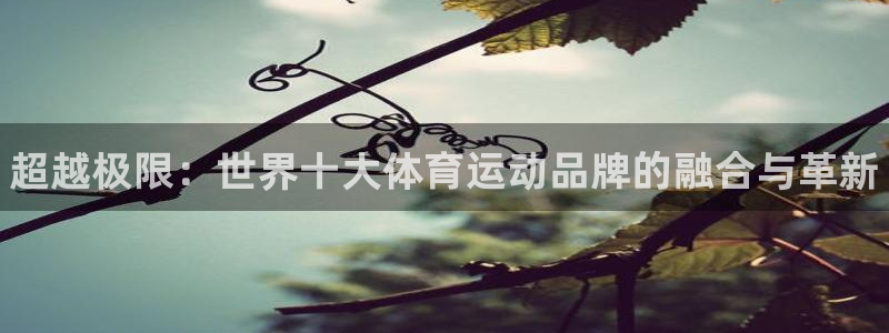 oety欧亿体育官网下载平台注册要钱吗是真的吗：超越