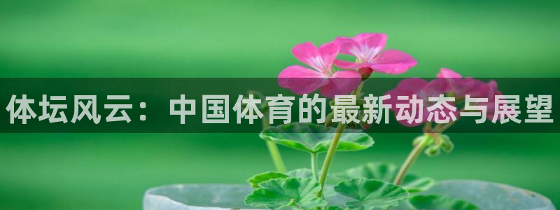 oety欧亿体育官网下载招商电话号码是多少：体坛风云