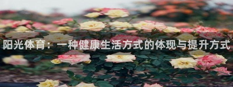 oety欧亿体育官网下载娱乐：阳光体育：一种健康生活