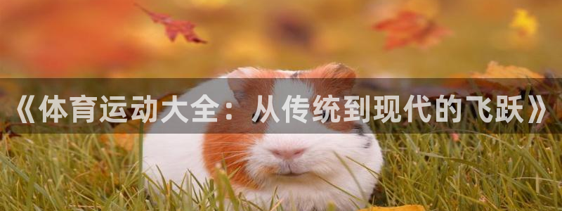 oety欧亿体育官网下载招商电话号码是多少号：《体育