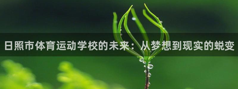 oety欧亿体育官网下载官方客服电话：日照市体育运动