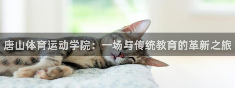 欧亿体育官方正版app新能源：唐山体育运动学院：一场