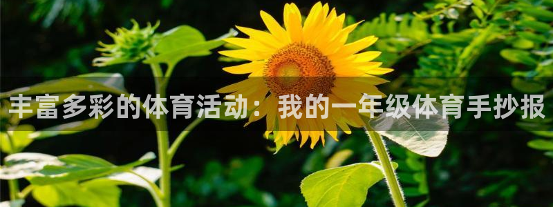 欧亿体育官方正版app集团简介：丰富多彩的体育活动：
