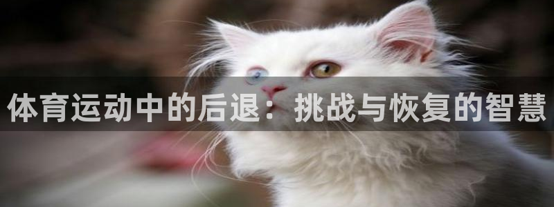 注册欧亿体育官方正版app：体育运动中的后退：挑战与恢复的智