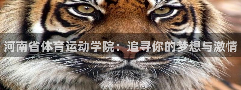 oety欧亿体育官网下载平台注册要钱吗：河南省体育运