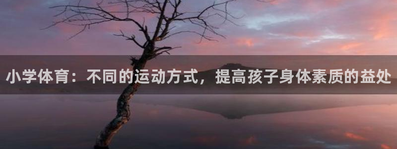 欧亿体育官方正版app集团E.ON：小学体育：不同的运动方式