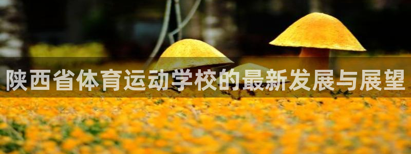 oety欧亿体育官网下载招商电话是多少号码：陕西省体育运动学