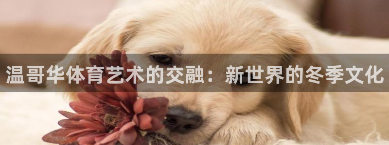 欧亿体育官方正版app娱乐网站：温哥华体育艺术的交融：新世界