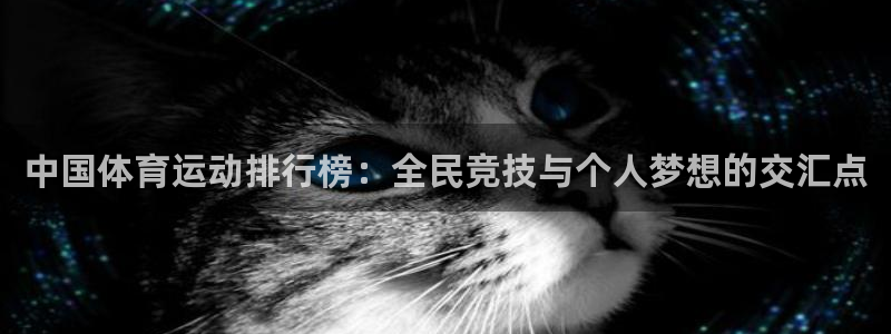 欧亿体育官方正版app新能源：中国体育运动排行榜：全民竞技与
