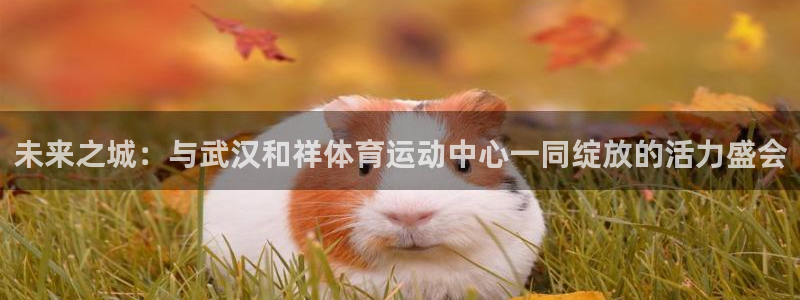 欧亿体育官方正版app娱乐网站：未来之城：与武汉和祥体育运动