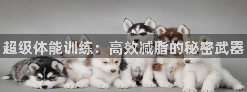 oety欧亿体育官网下载娱乐