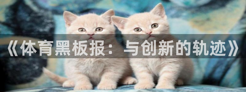 欧亿体育官方正版app娱乐:《体育黑板报:与创新的轨迹》