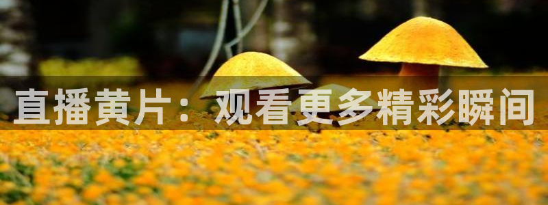 蓝鲸体育网球直播在线观看