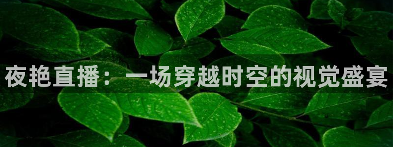 蓝鲸直播体育app下载：夜艳直播：一场穿越时空的视觉盛宴