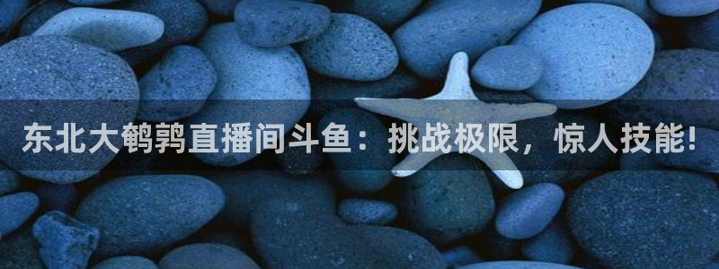 蓝鲸同志直播：东北大鹌鹑直播间斗鱼：挑战极限，惊人技能!