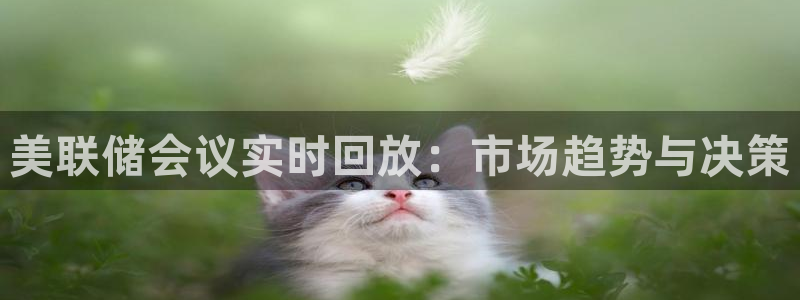 蓝鲸直播体育免费直播：美联储会议实时回放：市场趋势与决策