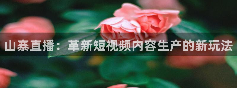 蓝鲸足球直播