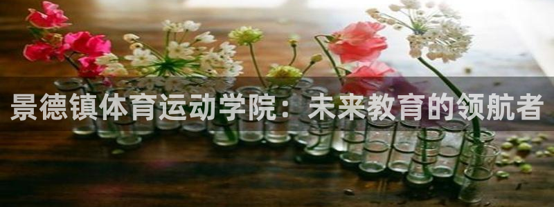 欧亿集团：景德镇体育运动学院：未来教